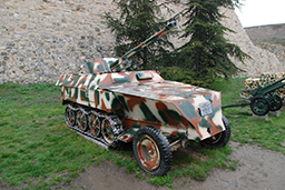  Sd.Kfz.250/1  50-  PaK 38 L60,    