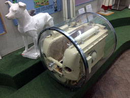 Контейнер для подопытной собаки, Центральный дом авиации и космонавтики