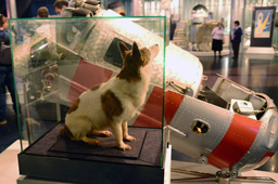 Катапультируемый контейнер для подопытных животных второго космического корабля-спутника, Музей космонавтики