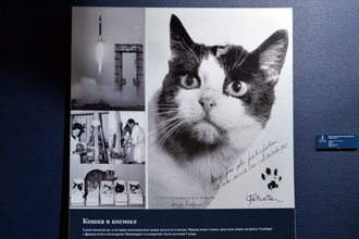 Felicette - единственная кошка побывавшая в космосе, Музей космонавтики и ракетной техники им. В.П.Глушко, СПб