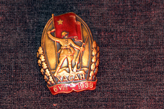 Знак «Хасан» армейского комиссара 1-го ранка Л.З. Мехлиса, ЦМВС, г.Москва