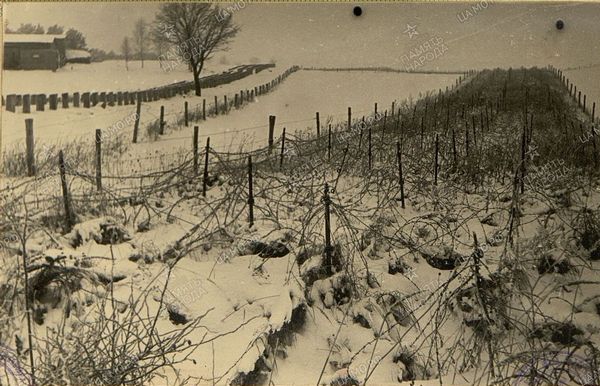Инженерные сооружения на оборонительном рубеже немцев (севернее Цеханув). 