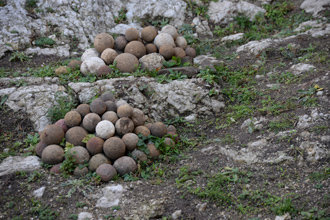 Каменные ядра осадных орудий, найденные поблизости от крепости, Голубацкая крепость