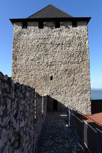 Башня, защищавшая дворец, Голубацкая крепость