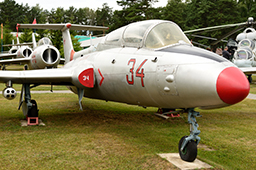 Аэро L-29 «Дельфин» , Музей авиационной техники, аэродром Боровая, г.Минск