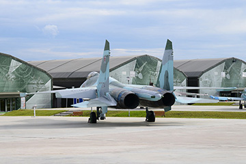 Су-27, парк «Патриот»