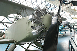 Zmaj Fizir FN, Сербский национальный музей авиации