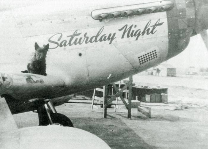 Лесси на крыле P-51D (№44-72296) с собственным именем «Saturday Night»