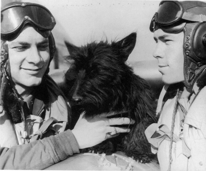 Американские лётчики-истребители братья Уолтер и Гарольд Конанц со скотч-терьером Лесси 