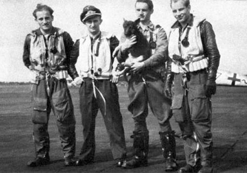 Скотч-терьер и лётчики 8./JG54 : Oblt. Friedrich Brock, Oblt. Rudolf Patzak (15 victories, KIA February 1944),  Lt.Bock and Ofw. Muller