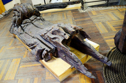 Носовая фигура шведского 62-пушечного линейного корабля «Hedvig Elisabeth Charlotta», Музей подводной археологии, г.Выборг