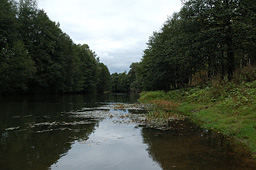 Река Боровка в районе села Партизанское