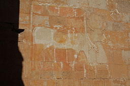 Древнеегипетский символ красоты