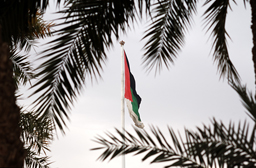 Гигантский государственный флаг Иордании.