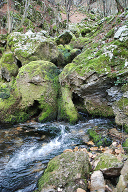 Водопад Лисина